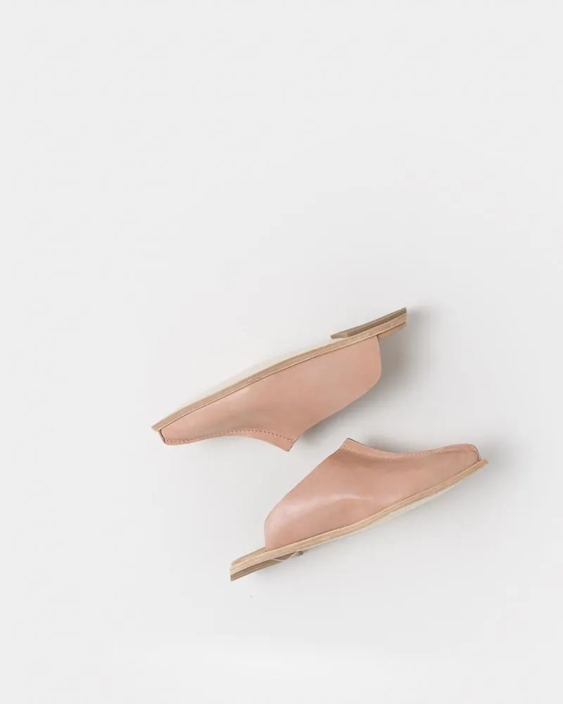 Falcon Shoe in Blush