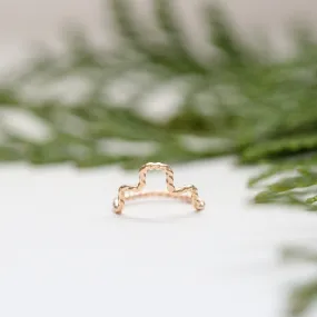 Geometric Ring